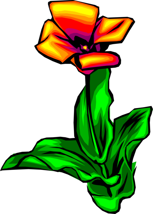 Vector Illustration Of Spring Tulip Flower Bulbous - Vector Illustration Of Spring Tulip Flower Bulbous (499x700)