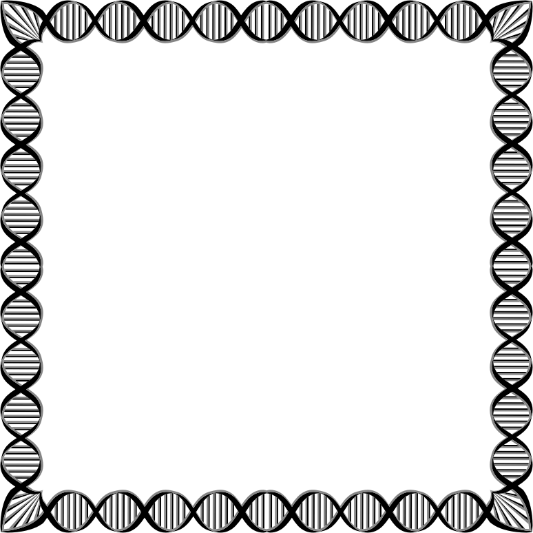 Dna Border Clipart 3 By Caitlin - Dna Border Clipart 3 By Caitlin (774x774)