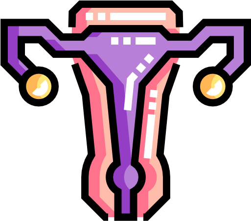Vagina Free Icon - Vagina Free Icon (512x512)