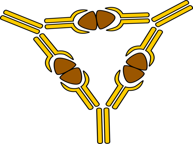The Vagina Contains Some Good Bacteria Such As Lactobacillus - The Vagina Contains Some Good Bacteria Such As Lactobacillus (800x600)