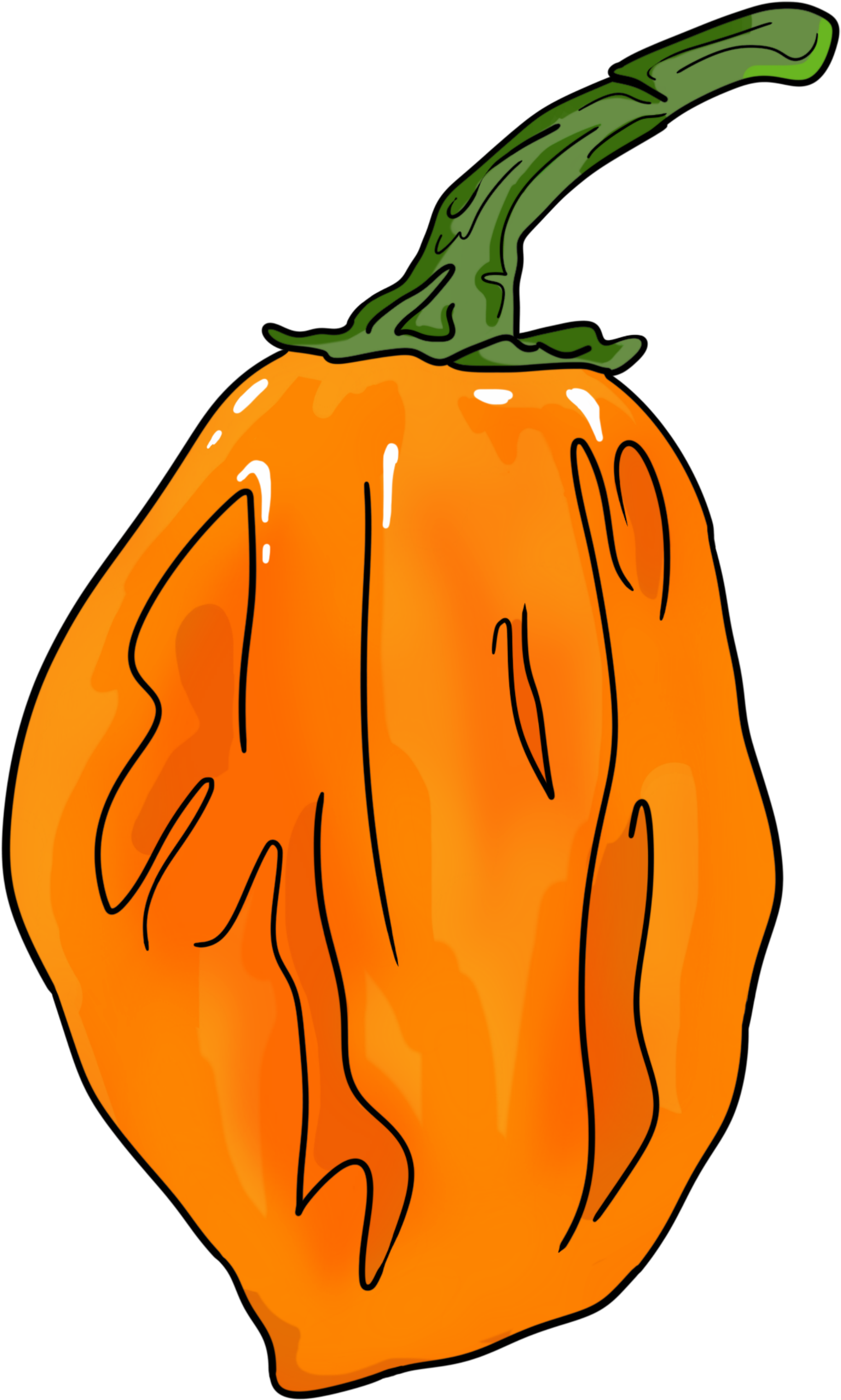 Pin By Mojo Coffee Time On Chili Peppers And Hot Stuff - Pin By Mojo Coffee Time On Chili Peppers And Hot Stuff (2000x4000)