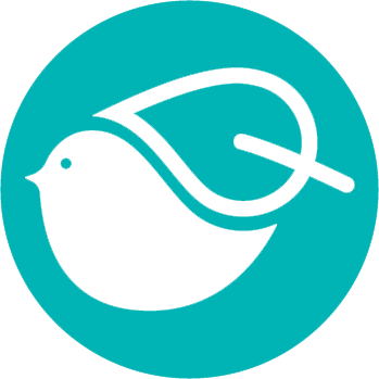 Optional Email Code - Optional Email Code (349x349)