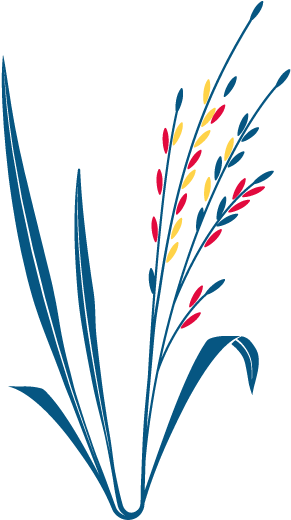 Prairie Seed Collecting Location Tbd, - Prairie Seed Collecting Location Tbd, (576x576)
