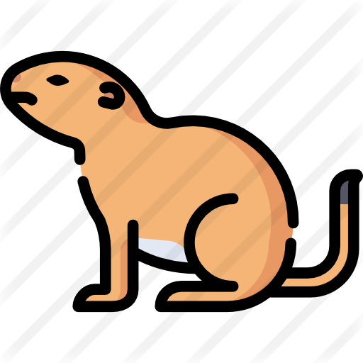 Prairie Free Icon - Prairie Free Icon (512x512)