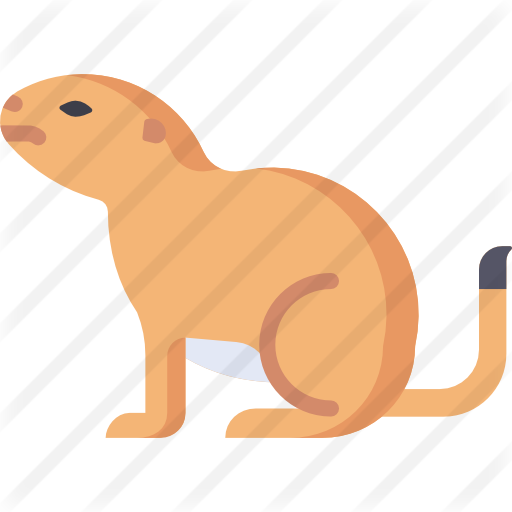 Prairie Free Icon - Prairie Free Icon (512x512)