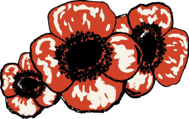 Poppy Clipart Canada November - Poppy Clipart Canada November (635x400)