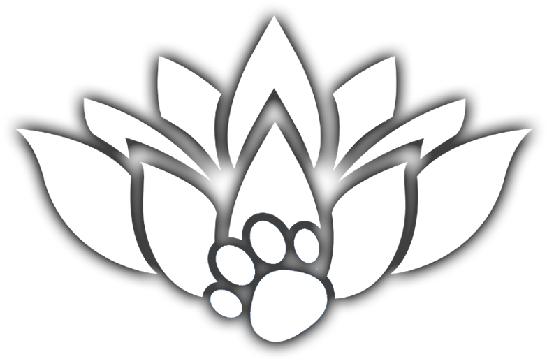 Tranquil Touch Healing - Tranquil Touch Healing (800x525)