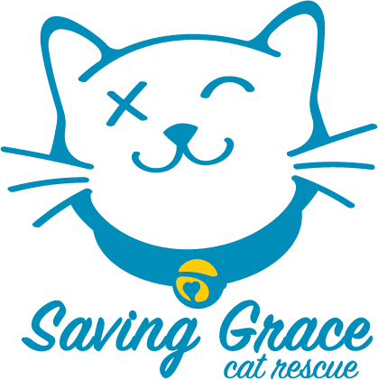 $1 For A Kitten You Can Stick On, An Adorable Interpretation - $1 For A Kitten You Can Stick On, An Adorable Interpretation (419x421)