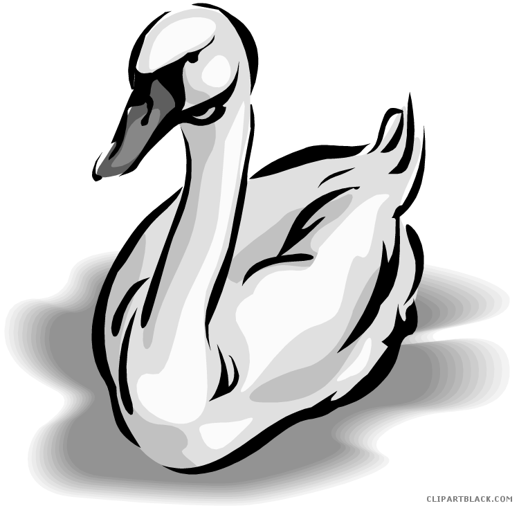 Black Swan Animal Free Black White Clipart Images Clipartblack - Black Swan Animal Free Black White Clipart Images Clipartblack (750x734)