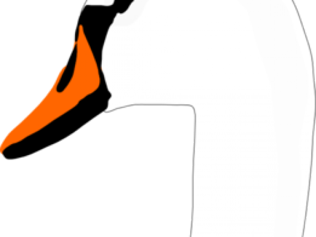 Swan Clipart Swan Head - Swan Clipart Swan Head (640x480)