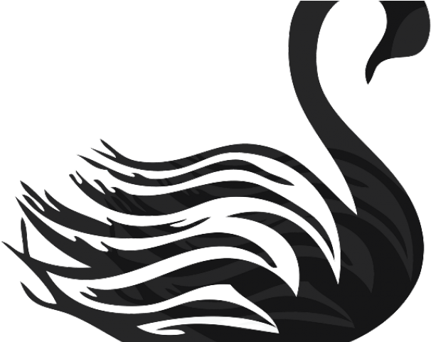 Black Swan Clipart Transparent - Black Swan Clipart Transparent (640x480)