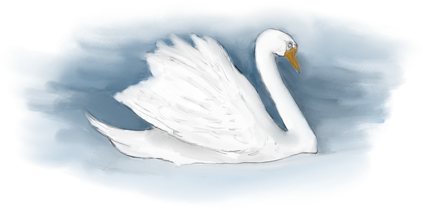 Watercoloring Swan Clipart - Watercoloring Swan Clipart (1366x686)