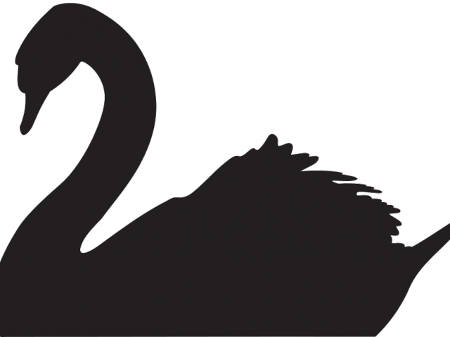 Black Swan Clipart Transparent - Black Swan Clipart Transparent (640x480)