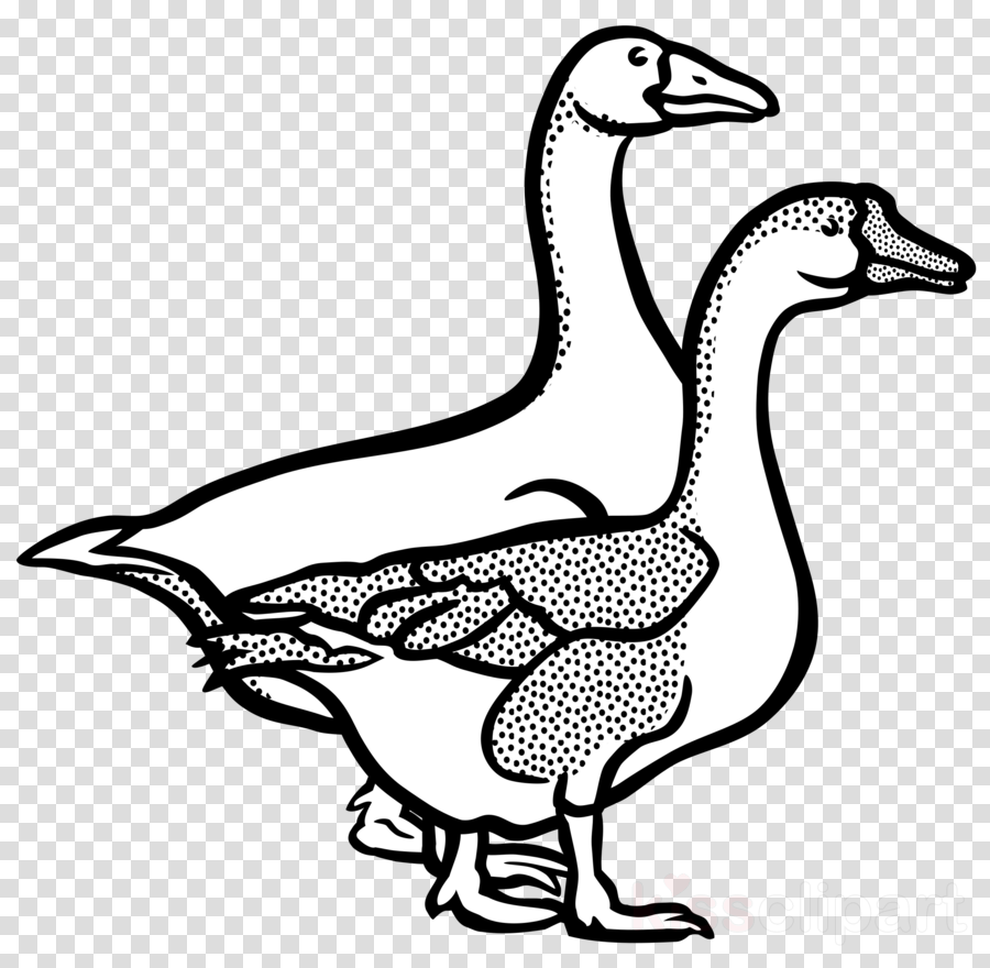 Goose Line Art Clipart Goose Clip Art - Goose Line Art Clipart Goose Clip Art (900x880)