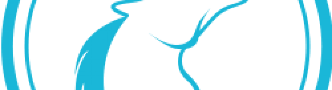 Unicorno Style Web Brochure Number 4 (june - Unicorno Style Web Brochure Number 4 (june (1100x300)