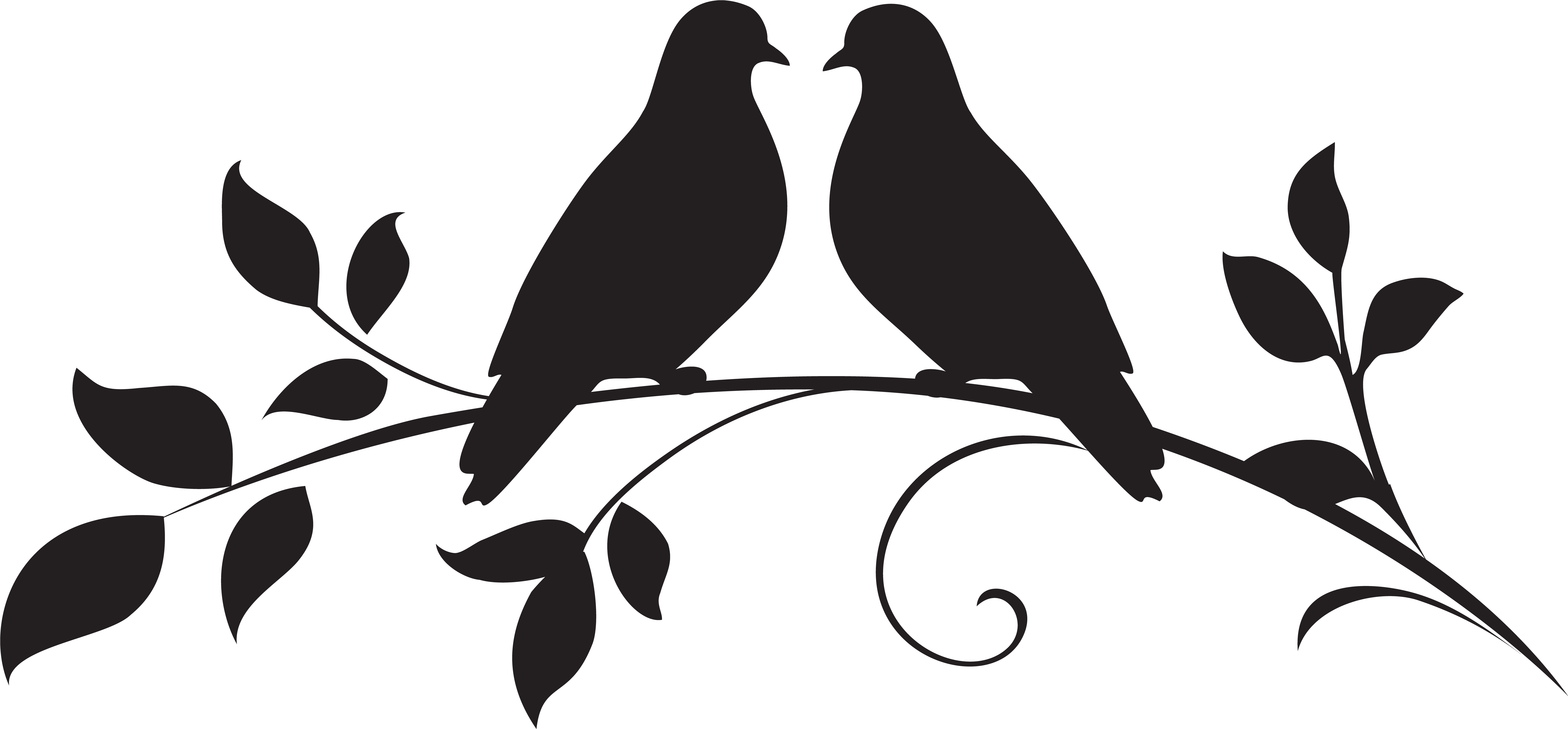 Dove Clipart Silhouette - Dove Clipart Silhouette (7937x3691)