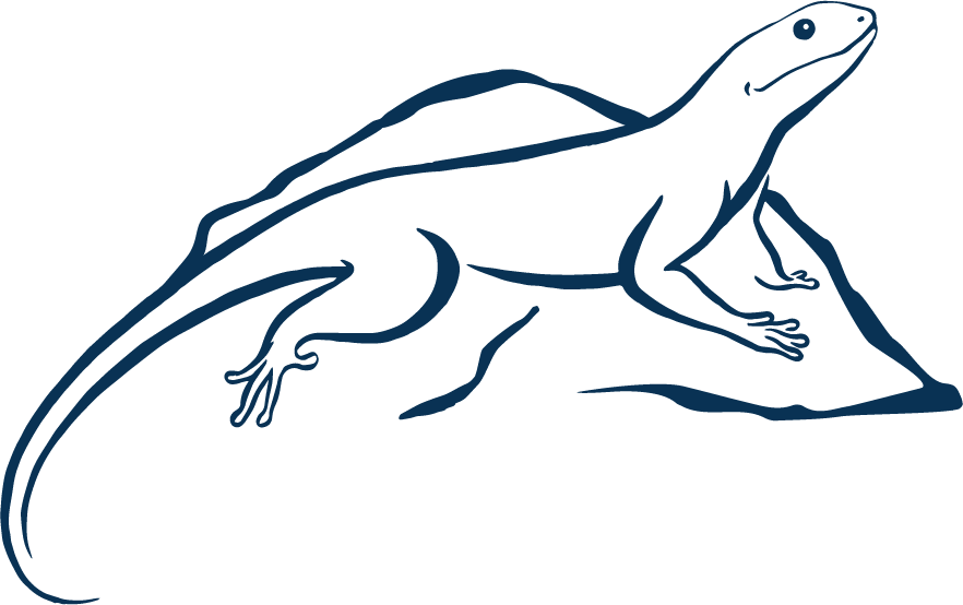 Our Story Quim Lizardpng - Our Story Quim Lizardpng (882x554)