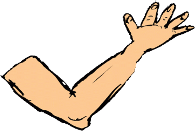 Arms Clipart Body Part - Arms Clipart Body Part (640x475)