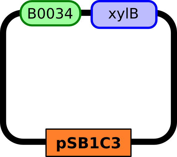 Http - //parts - Igem - Org/wiki/images/5/ - Http - //parts - Igem - Org/wiki/images/5/ (570x506)