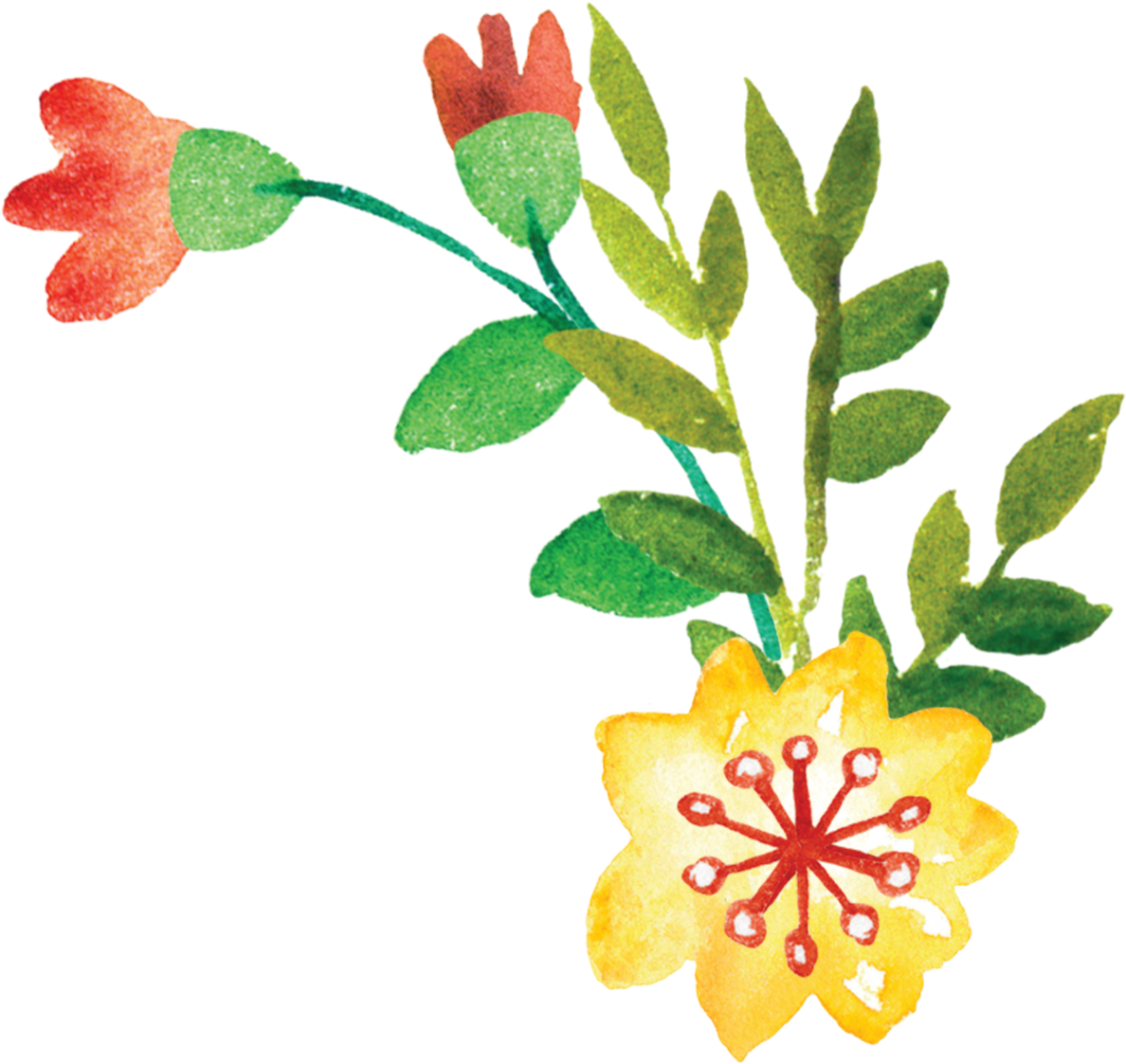 Event August 24, - Event August 24, (1200x1200)