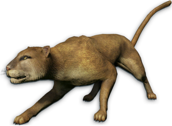 Mountain Lion Clipart 3 Lion - Mountain Lion Clipart 3 Lion (604x464)