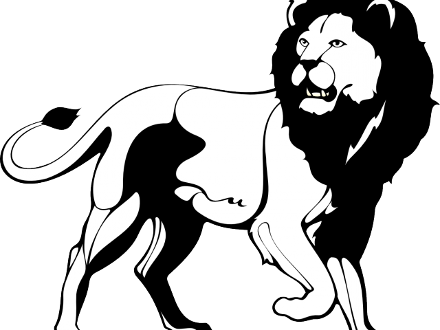 White Lion Clipart Lion Family - White Lion Clipart Lion Family (640x480)