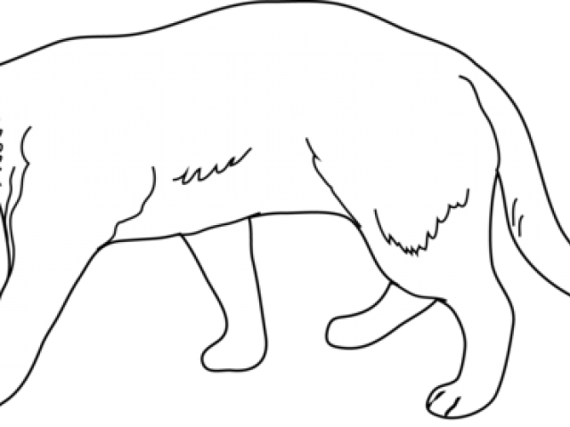 White Lion Clipart Lion Family - White Lion Clipart Lion Family (640x480)