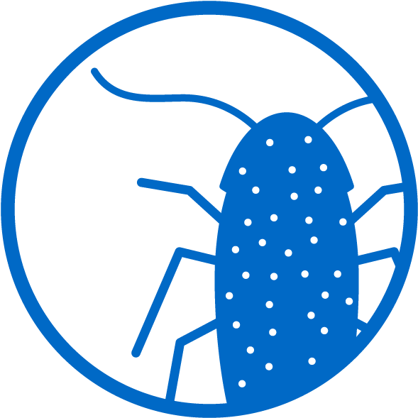 Spray Clipart Insect Killer - Spray Clipart Insect Killer (720x720)