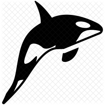 Killer Whale Png Transparent - Killer Whale Png Transparent (400x400)