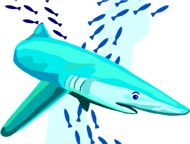 Great White Shark Clipart Killer Shark - Great White Shark Clipart Killer Shark (640x480)