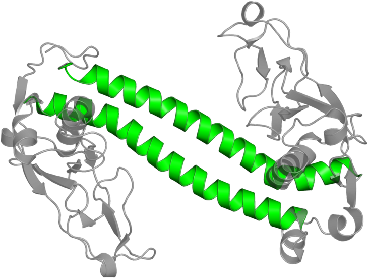 <div Class='caption-body'>1 Copy Of Cath Domain - <div Class='caption-body'>1 Copy Of Cath Domain (800x800)