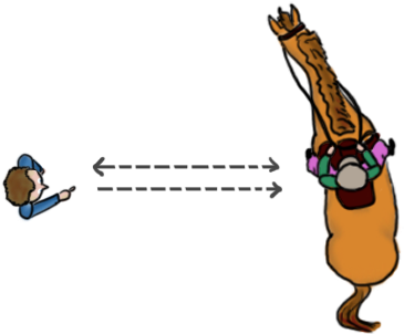 2 Participants - 2 Participants (463x349)