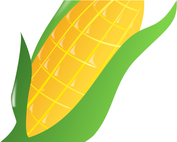 Ear Of Corn Clipart - Ear Of Corn Clipart (640x480)