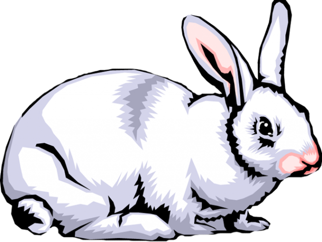Rabbit Clipart Clip Art - Rabbit Clipart Clip Art (640x480)