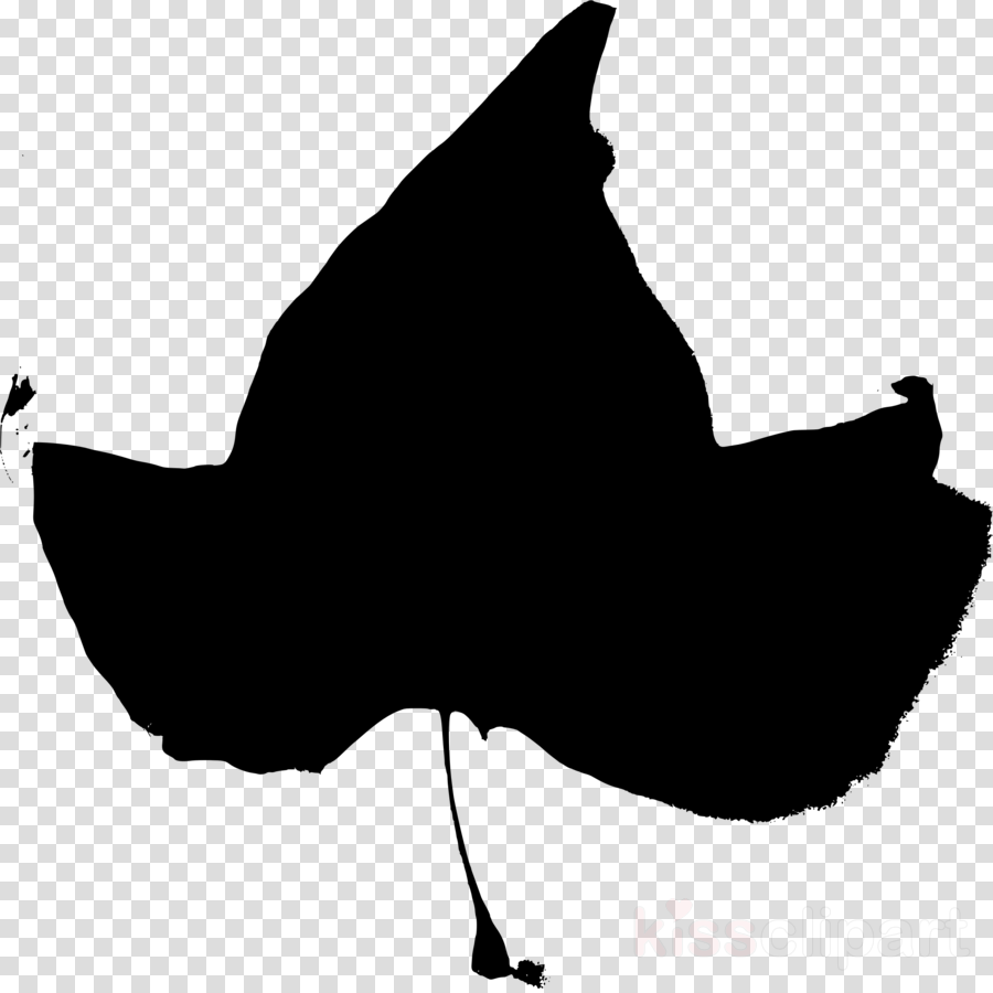 Fall Black And White Clipart First Source - Fall Black And White Clipart First Source (900x900)