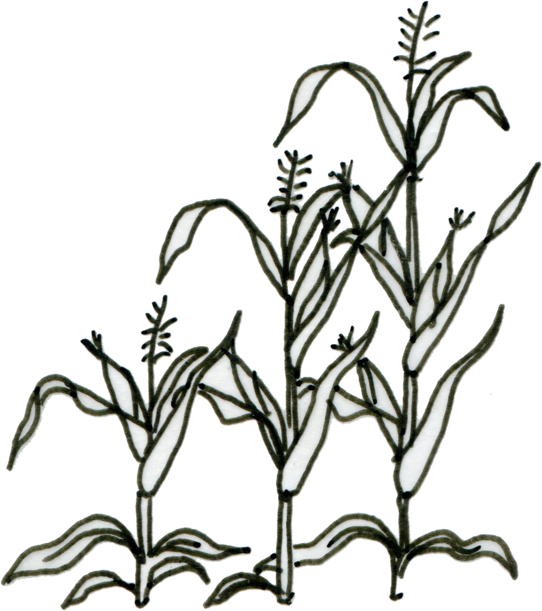 Impact Ambition Of Agrics External Evaluation Activities - Impact Ambition Of Agrics External Evaluation Activities (1920x2246)