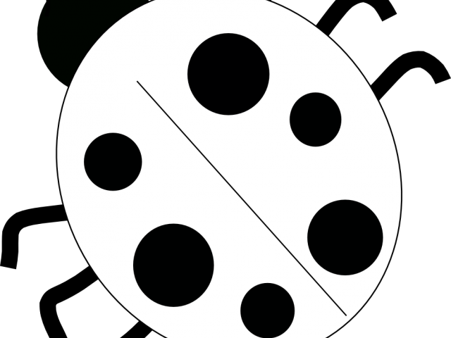 Ladybug Clipart Black And White - Ladybug Clipart Black And White (640x480)