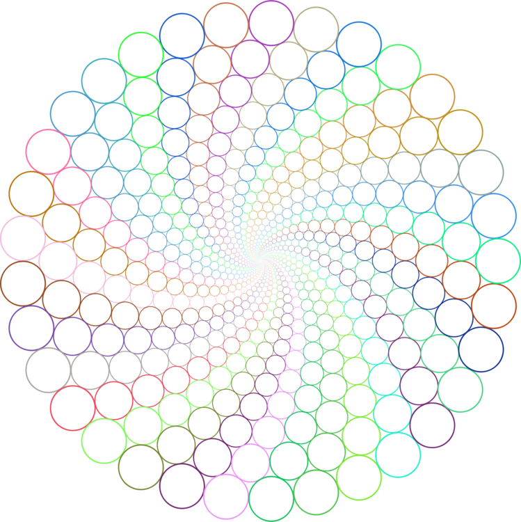 All Photo Png Clipart - All Photo Png Clipart (749x750)