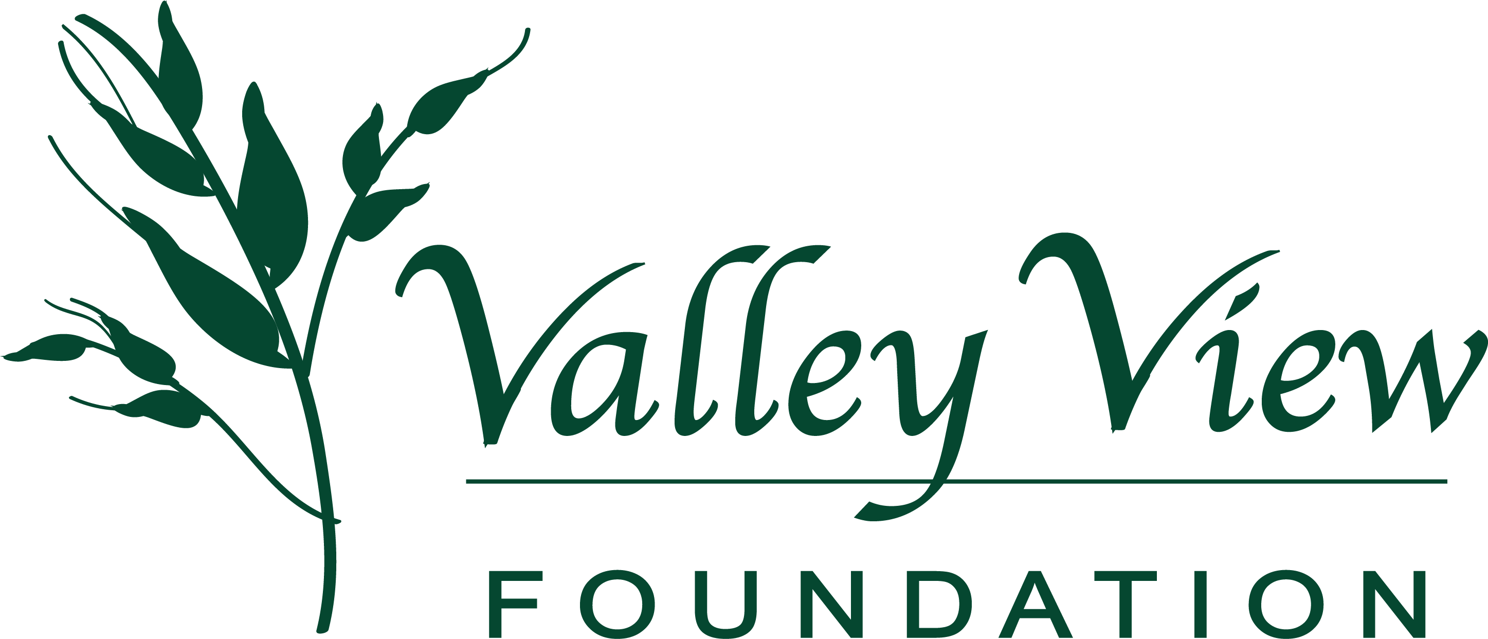 Valley View Foundation - Valley View Foundation (2894x1243)