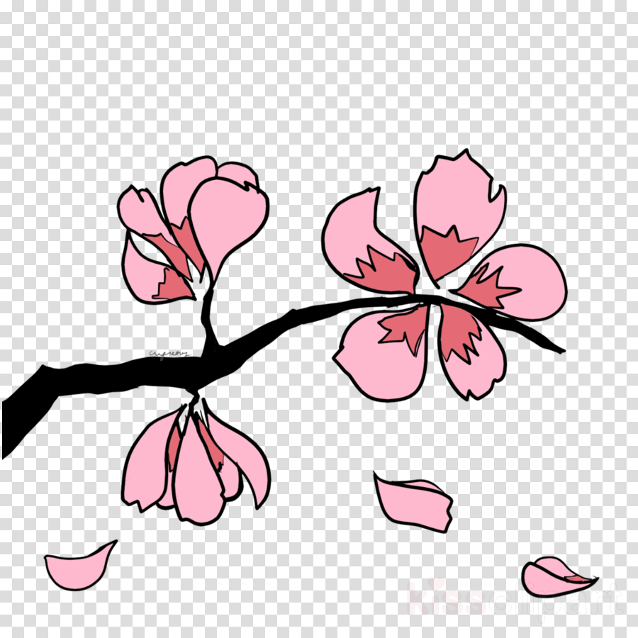 Sakura Branch Clipart Cherry Blossom Clip Art - Sakura Branch Clipart Cherry Blossom Clip Art (900x900)