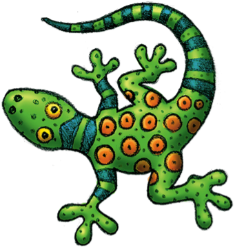 Gecko Am - Gecko Am (378x385)