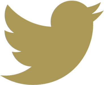 Get Social With Us - Get Social With Us (377x377)