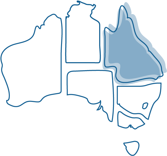 Loser - Loser (900x601)