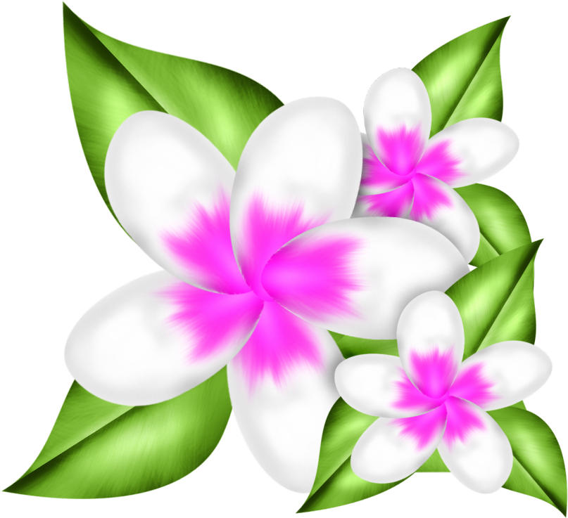 Exibir Todas As Imagens Na Pasta Purity In Pink - Exibir Todas As Imagens Na Pasta Purity In Pink (870x870)