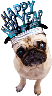More Free Happy Puppy Png Images - More Free Happy Puppy Png Images (400x400)