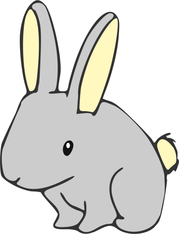 All Photo Png Clipart - All Photo Png Clipart (571x749)