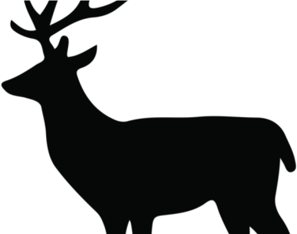 Stag Clipart Buck - Stag Clipart Buck (640x480)