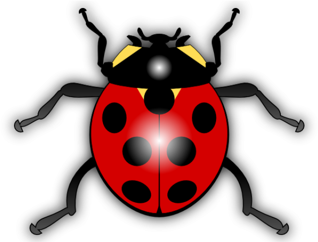Legz Clipart Cartoon Bug - Legz Clipart Cartoon Bug (640x480)
