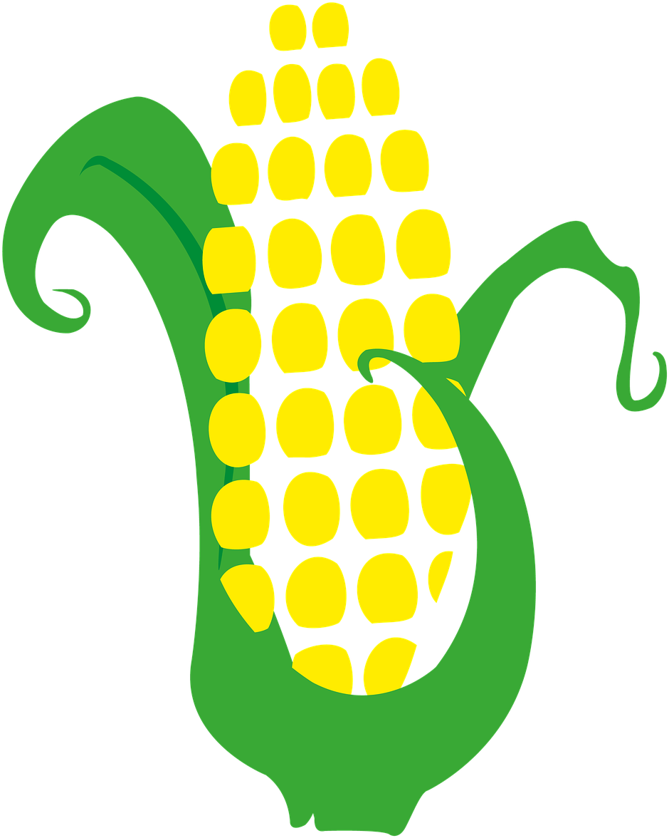 Image Freeuse Maize Sowing Cereal Market Garden Food - Image Freeuse Maize Sowing Cereal Market Garden Food (1280x1280)