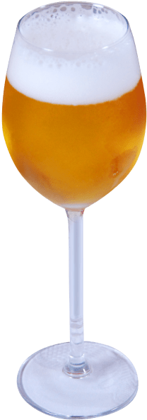 Beer Glass Png - Beer Glass Png (480x631)